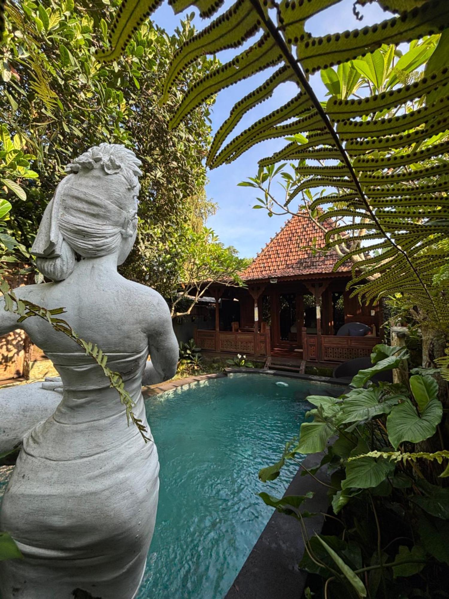 Bumbung Sari Villa Убуд Экстерьер фото