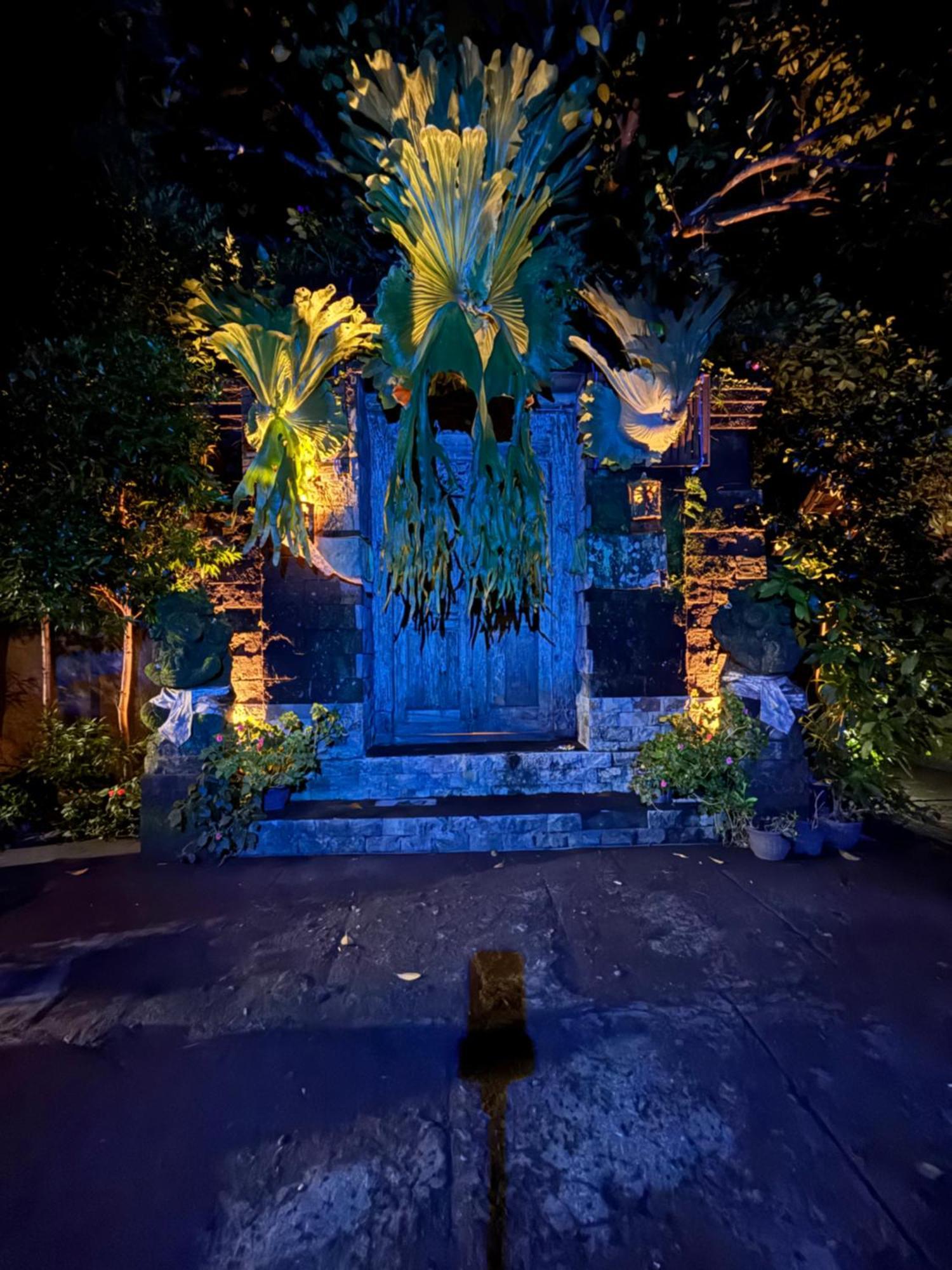 Bumbung Sari Villa Убуд Экстерьер фото
