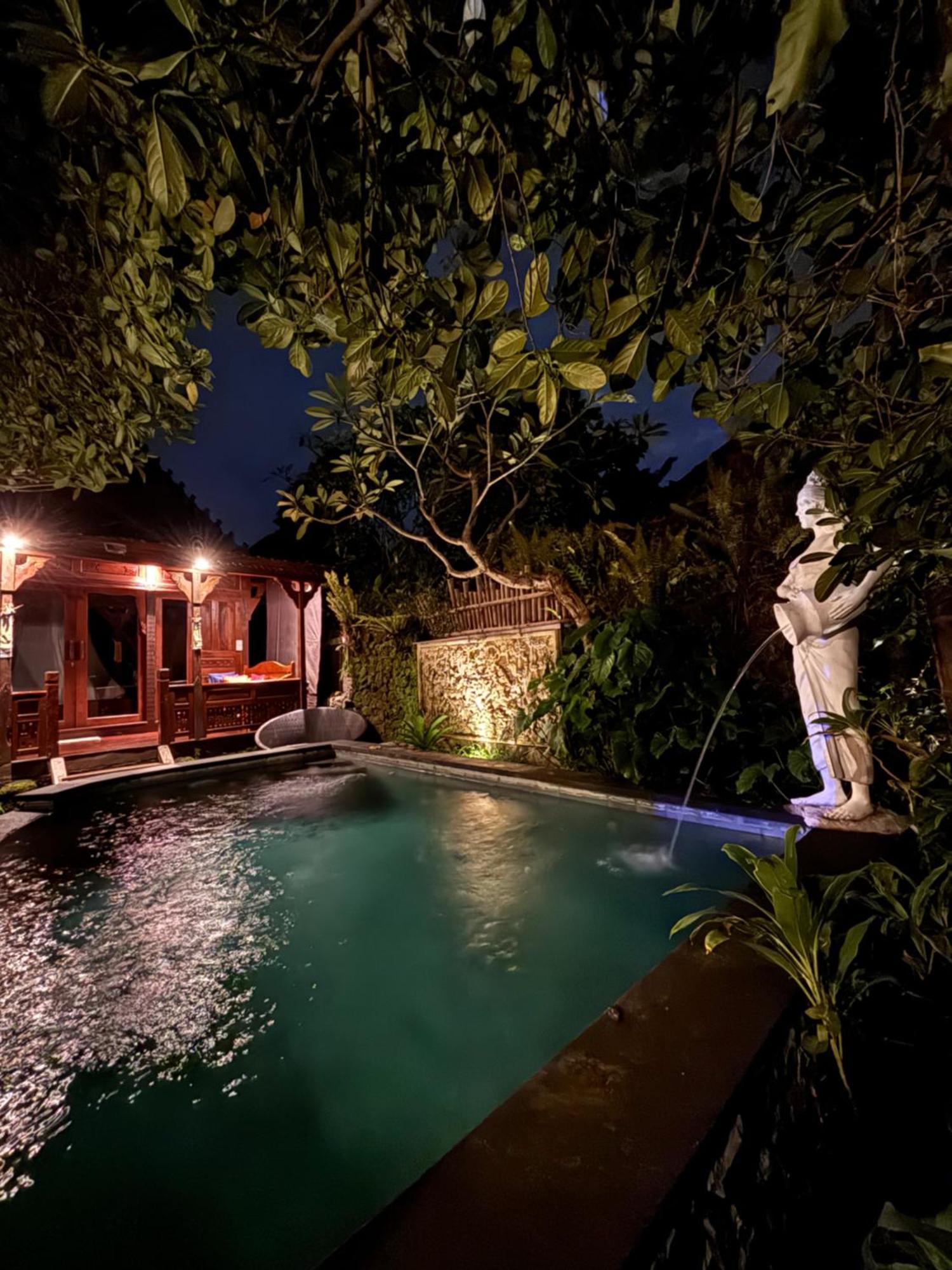 Bumbung Sari Villa Убуд Экстерьер фото