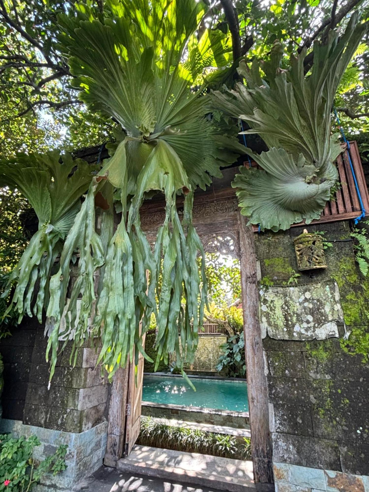 Bumbung Sari Villa Убуд Экстерьер фото